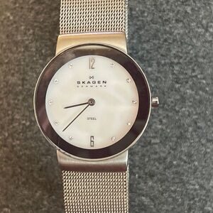 Skagen Stainless Steel Mesh Band Watch